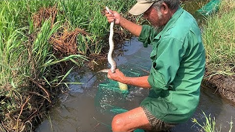 Cùng Chú Út Thăm Bẩy Cá 12 Cửa Ngục Về Làm Món Ăn Ngon