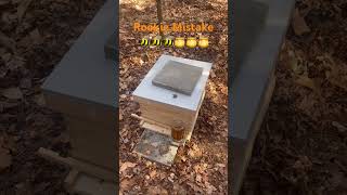🐝 BIG Beginner Beekeeping Mistake… Here’s How I Fixed It!