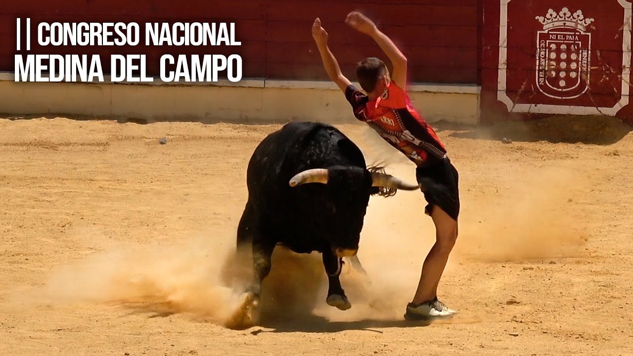 Medina del Campo 2025 Segundo Congreso Nacional Toro de Cajón