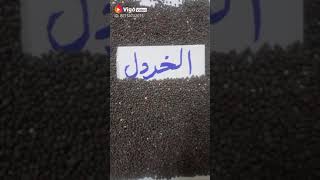 الخردل فوائده و طريقة علاجه