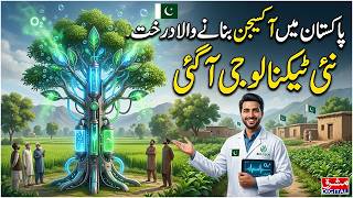 Pakistan Introduces “Oxygen Producing Tree” Technology | A Green Revolution Begins | Mashriq Digital