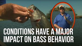 Conditions Have A Major Impact on Bass Behavior Does Barometric Pressure Effect Bass