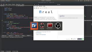 Ninja-IDE 3.0 - Execution of files/projects simultaneously
