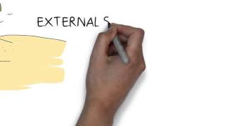 National 5 and Higher Business Management - STAKEHOLDERS