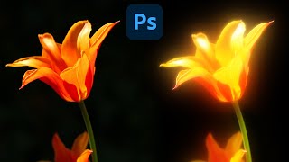 Orange Flower Glow Effect - photoshop tutorial - Adobe Photoshop