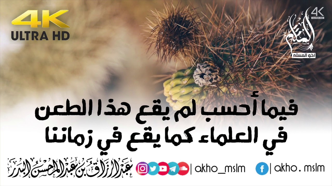 فيما أحسب لم يقع هذا الطعن في العلماء كما يقع في زماننا - الشيخ عبد الرزاق البدر