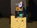 Minecraft Armor Shelf 🥹 #minecraft #shorts