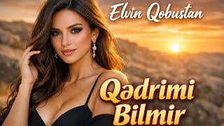Elvin Qobustan Qədrimi Bilmir Haminin Axtardiği O Mahni