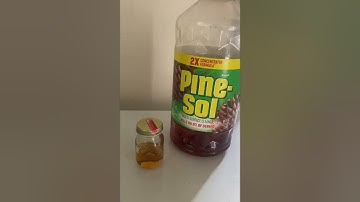 I use PineSol to get rid of roaches #youtubeshorts #shortsfeed #roaches
