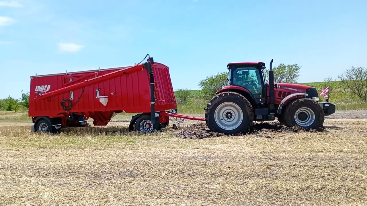 #casehi230 #ombudsmanri tolva ombú enterrada Casehi 230#campoargentino #tractores #fyp #viral barro