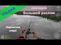 Русская рыбалка 4 - Ладожское озеро - Палия у скалистого берега
