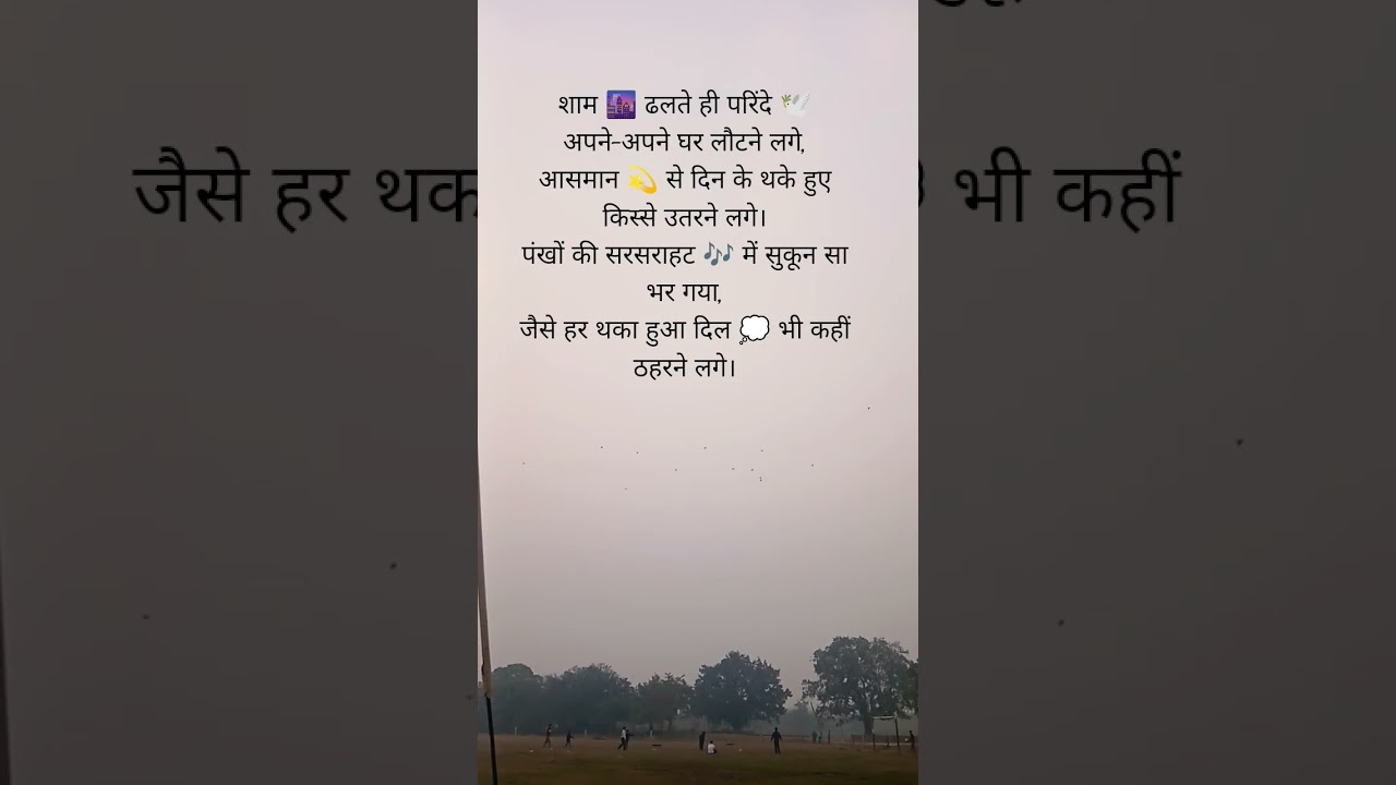 शाम के परिंदे 🕊️ | Evening Peace Shayari 🌆 | 