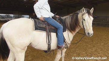 Tacos Buck Poco***For info, price, etc., go to our website: ValleyViewRanch.net***