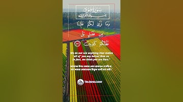9 ) Surah Hud ‎- سورة  هود ‎-(Prophet Hud AS) 11:25-28 #কুরআন #তেলওয়াত