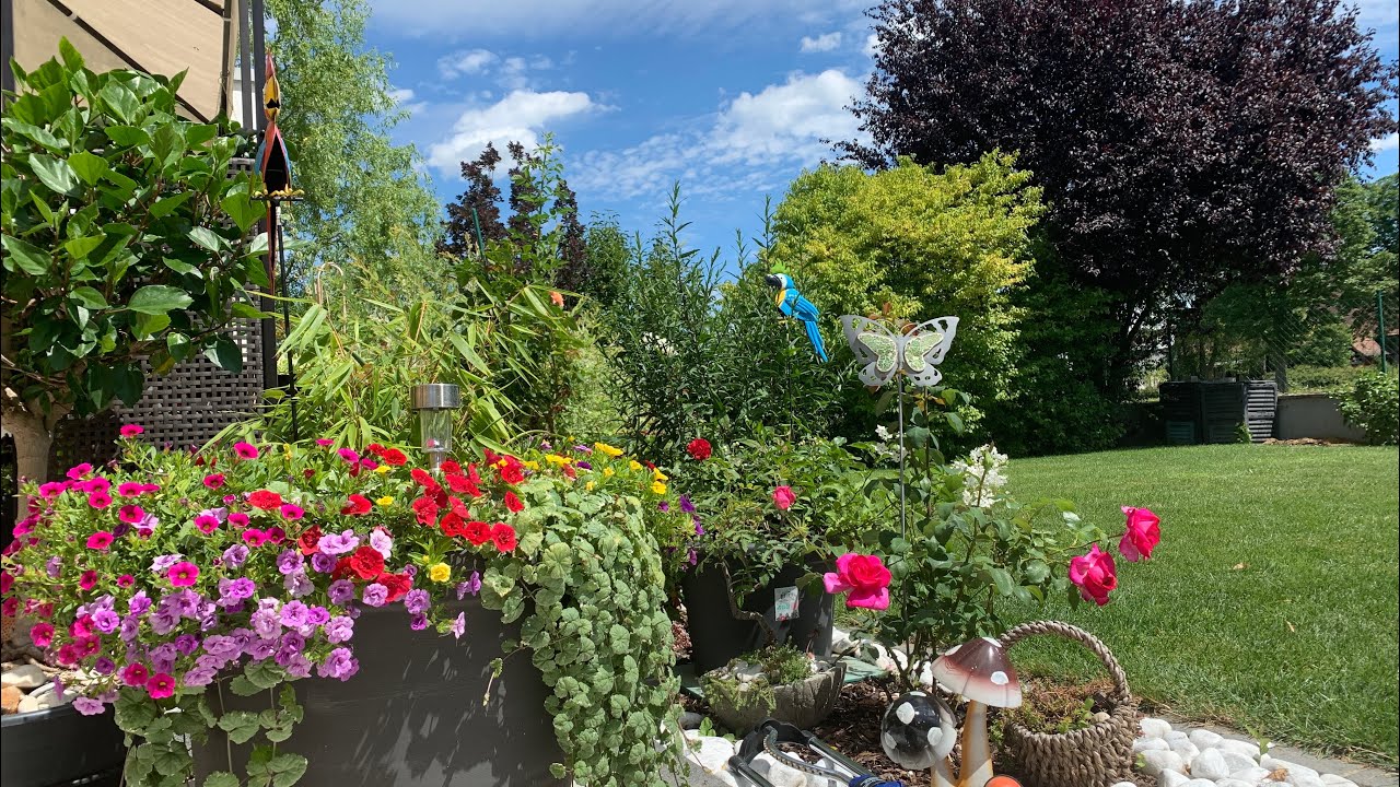 ЭКСКУРСИЯ ПО МОЕМУ СУПЕРЦВЕТОЧНОМУ САДУ