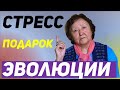 Не бойтесь стресса,  а лучше используйте его с умом