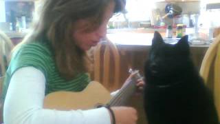 Schipperke Max's guitar tutorial 4 by Lidia Friederich 1,041 views 7 years ago 38 seconds