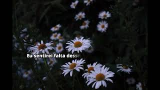 Seafret - Pictures (TRADUÇÃO/ LEGENDADO PT-BR)