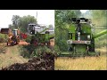 JCB Backhoe Making Road || Combine Harvester || Farmtrac 40 || Harvesting in the Paddy Field