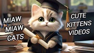 Cute Cat And Kittens Funny S 😻📸