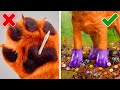 PET HACKS YOU’LL WISH YOU KNEW SOONER 🐾 #DIY #LifeHacks #Furry #Friends