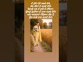 ਦੋਹਰੀਚਾਹਤ#sad #meandmybrokenheartlyrics 💔