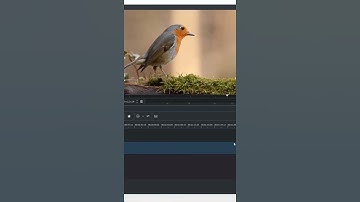 Kdenlive Tutorial: How to Crop in Kdenlive