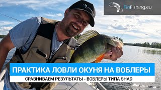 картинка: Ловля воблерами типа SHAD в Финляндии. ZipBaits Khamsin, Pontoon21 CrackJack, Kosadaka Mirage