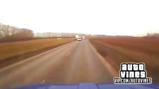 Auto Vines 93