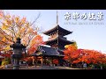 Beautiful Autumn Leaves of Kyoto - Shinnyodo(京都の紅葉 真如堂) | 4K