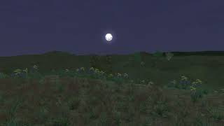 Day Night Cycle Grassland