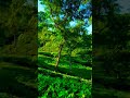 Subhan Allah Arabic Ringtone Love Ringtones Song Nature Shorts Viralvideo Muaz Bts Travel Subhan Allah Arabic Ringtone Love Ringtones Song Nature Shorts Viralvideo Muaz Bts Travel