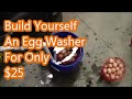 Build an egg washer for less than $25