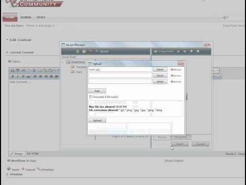 DNN:: Adding an image in a page
