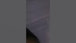 🔴PUYA GROUP| Lagu Daerah Yahukimo-Wamena Papua Pegunungan