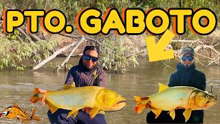 Tremendo pesquero - DORADOS en Puerto Gaboto, Santa Fe
