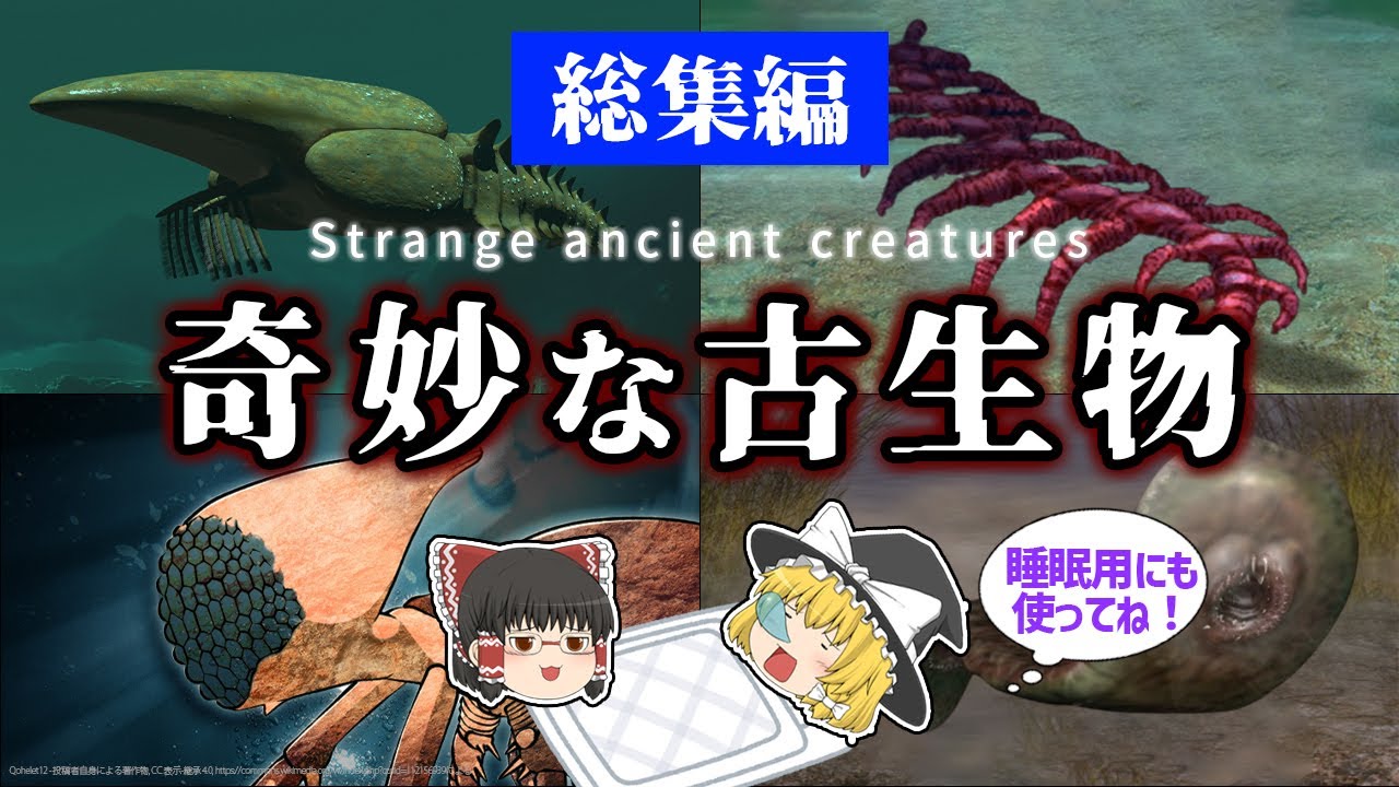 【睡眠用・ゆっくり解説】奇妙な古代生物　マーレラ/エーギロカシス/カンブロパキコーペなど【途中広告なし】