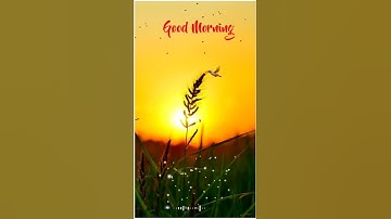 Good Morning Status video ll kinemaster tutorial video ll