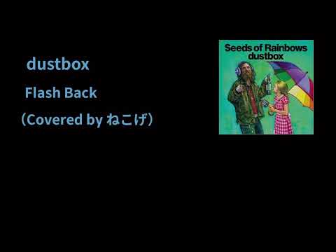 Punk music video thumbnail preview for dustbox - Flash Back