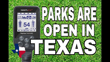 Park Hunting with my Nokta Makro Simplex Plus Metal detector