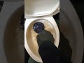 TOILET PLUGGED