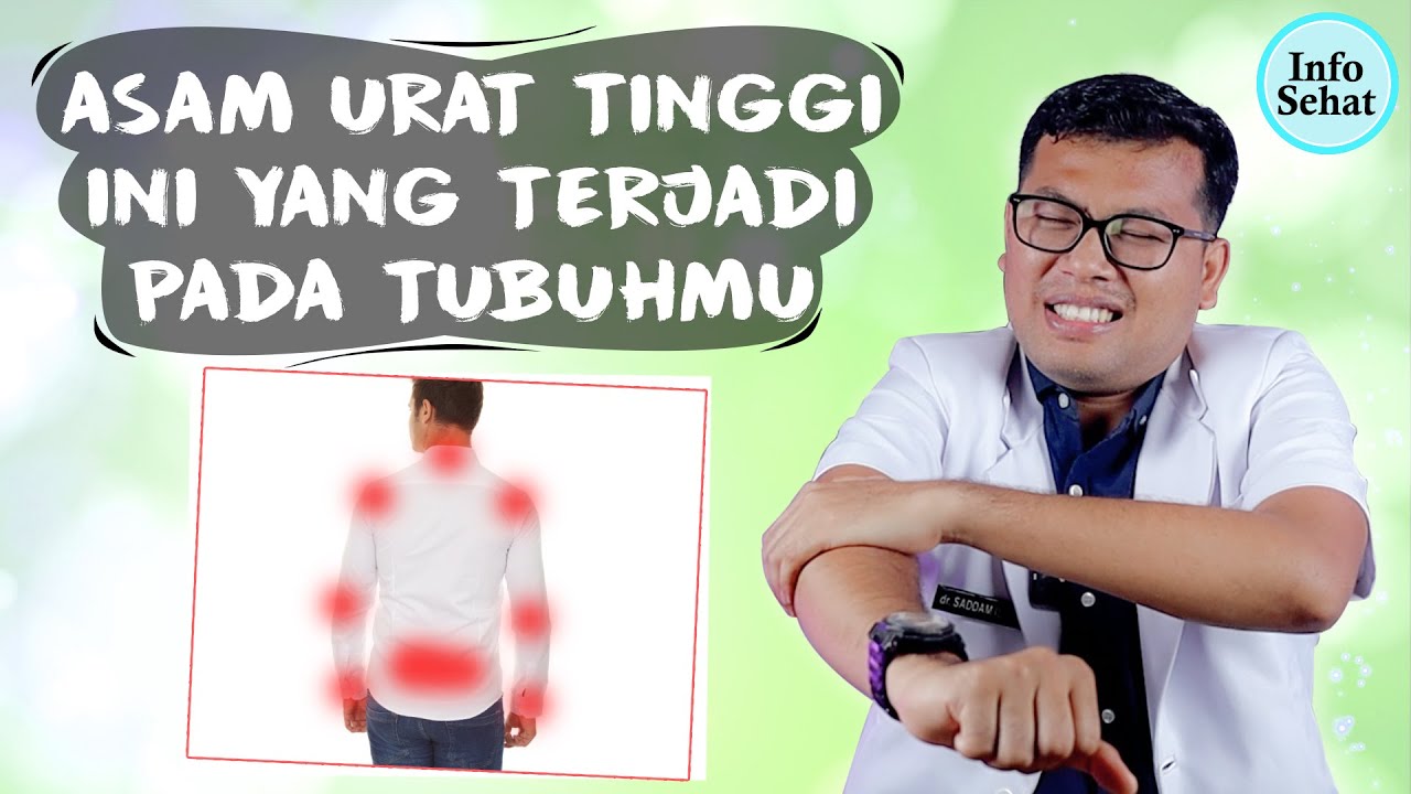 KOMPLIKASI ASAM URAT BAGI TUBUH - DOKTER SADDAM ISMAIL