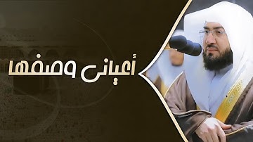 تلاوة أعيانى وصفها من فرط جمالها! بترتيل خاشع من العندليب د. بندر بليلة