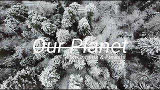 Our Planet |  Mountains & Forests