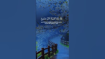 #ايات_من#سورة_الملك  #القران_الكريم #اكسبلور