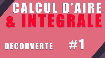 Intégrale & Calcul d