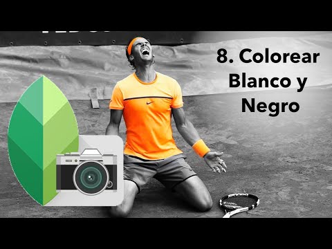 Video: Cómo Resaltar En Una Foto En Blanco Y Negro