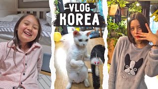 Комната корейского подростка и отчёт о субботнике в УКа / Домашний влог / KOREA VLOG /