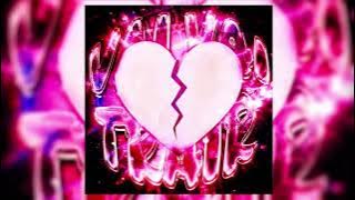 VAI VAI TRAIR (SPEED UP)