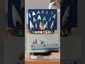 山奥で拾ったコレ、何の牙や？#shorts #おもしろ